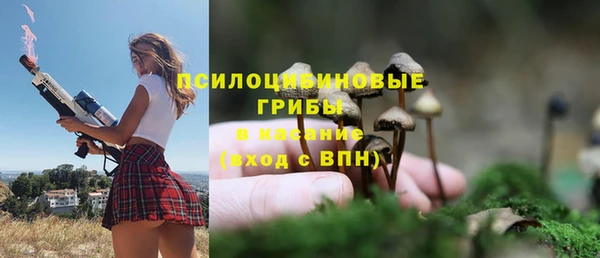 дурь Алексеевка