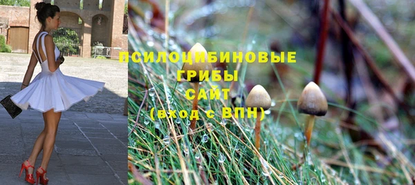 ешки Алзамай