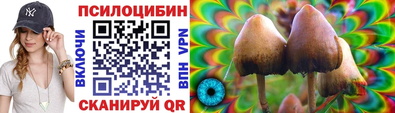 darknet наркотические препараты Ярославль Псилоцибиновые грибы Magic Shrooms хочу